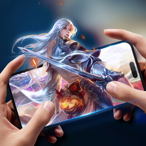 Dux Ducis - Tempered Glass Privacy - iPhone 16 Pro - Black