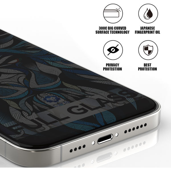 Lito - D+ Max Privacy 300C - iPhone 15 - Black