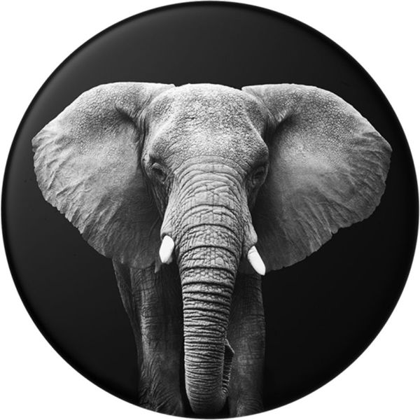 PopSockets - PopGrip - Loxodonta Africana
