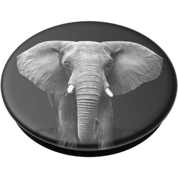 PopSockets - PopGrip - Loxodonta Africana