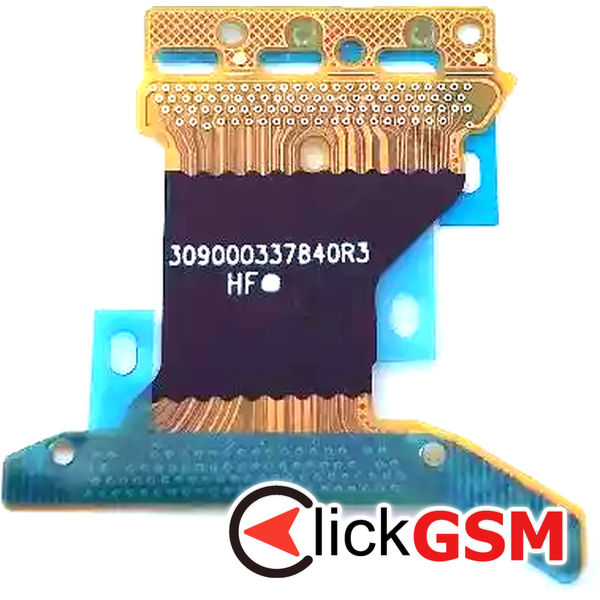 Conector Placa