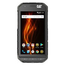 CAT S31