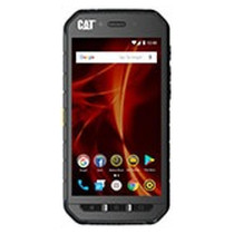 CAT S41