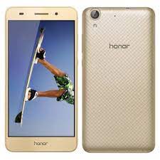 Honor Holly 3+