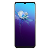 Vivo V20