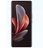 Vivo V29e India