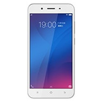 Y66 domestic version