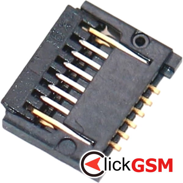 Conector Placa