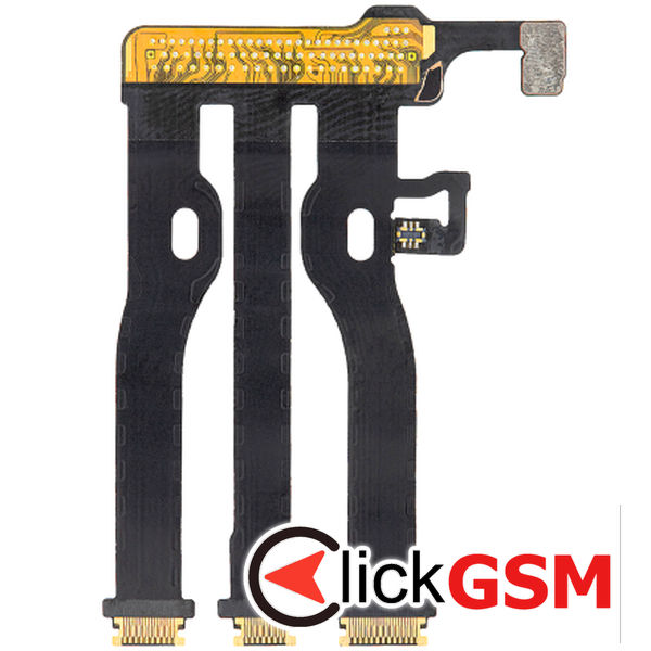 Conector Placa
