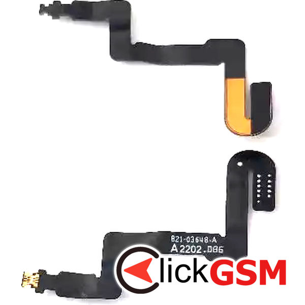 Conector Placa
