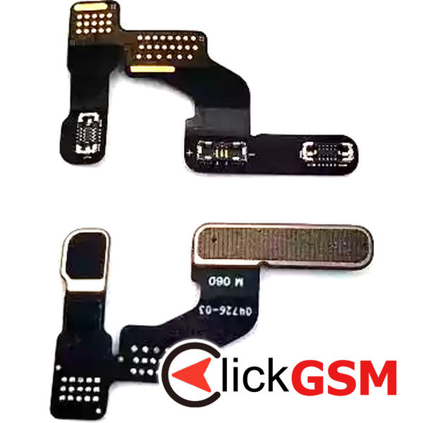 Conector Placa