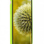 Husa pentru iPhone 11, ultra slim, silk touch Verde Neon, interior din catifea, protectie camera, protectie ecran