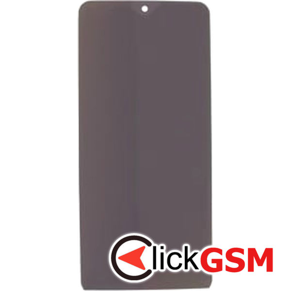 Polarizator Honor X6a