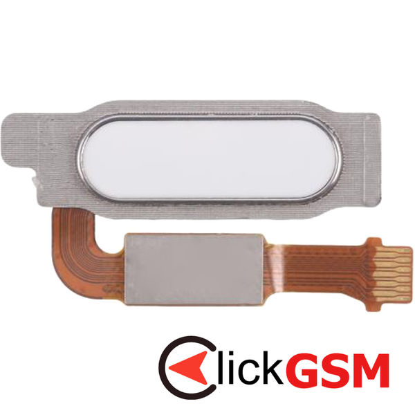 Senzor Amprenta Honor WaterPlay 8