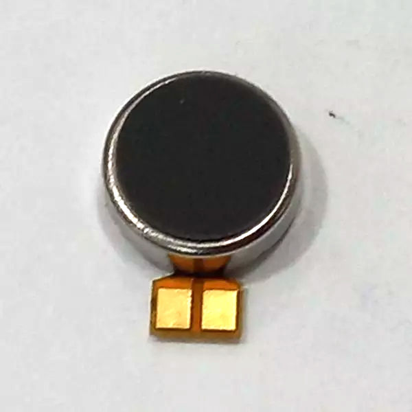 Vibrator Oukitel WP62 5G