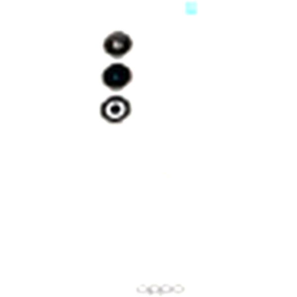 Oppo A5m · Akkudeckel OPPO A5 (CPH2727) Mist White / OPPO A5/ALPHA-B4 11001036590 (CPH2727) ALPHA-B4